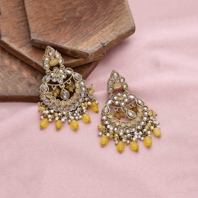 Dazzling Long Earrings - ESKU301800084