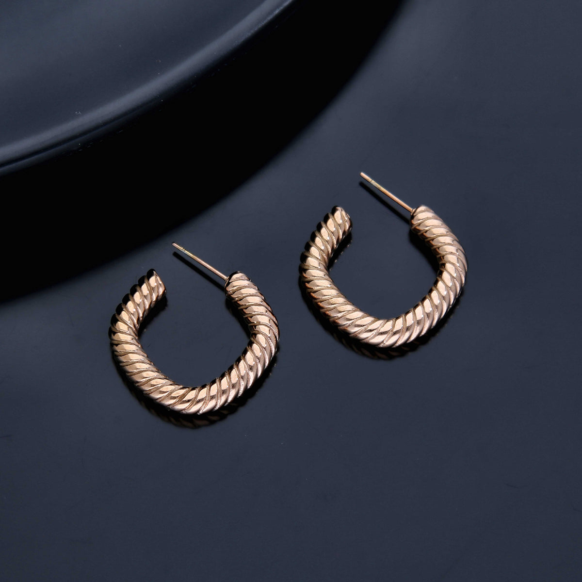 Beautiful Hoop Earring - ESKU301800155