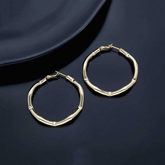 Trendy Hoop Earring - ESKU301800156