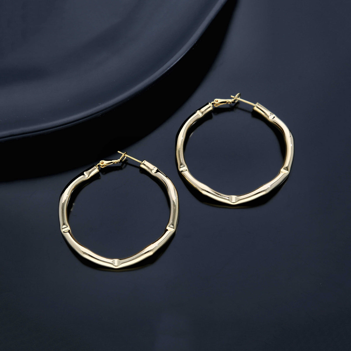 Trendy Hoop Earring - ESKU301800156