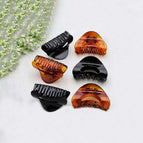 Black & Shell