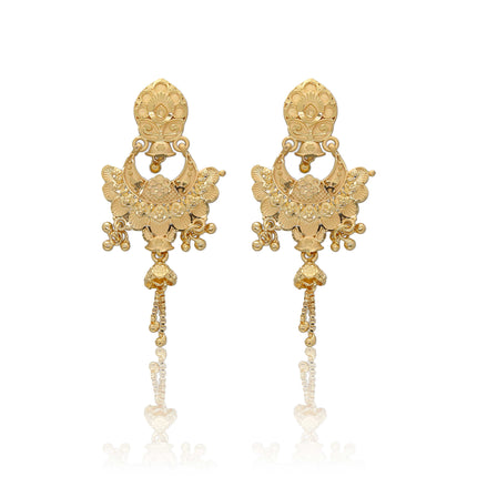Fancy Earings - ESKU302403333