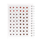 Set C (4.5mm & 5mm)